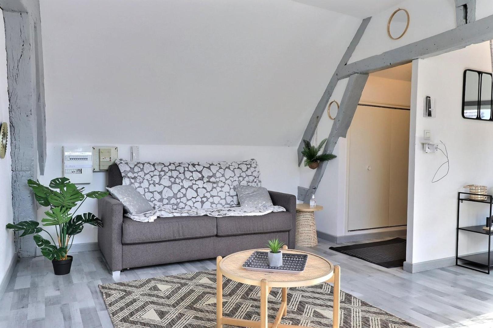 Downtown Apartment - Quiet And Cozy - Mon Groom Troyes Buitenkant foto