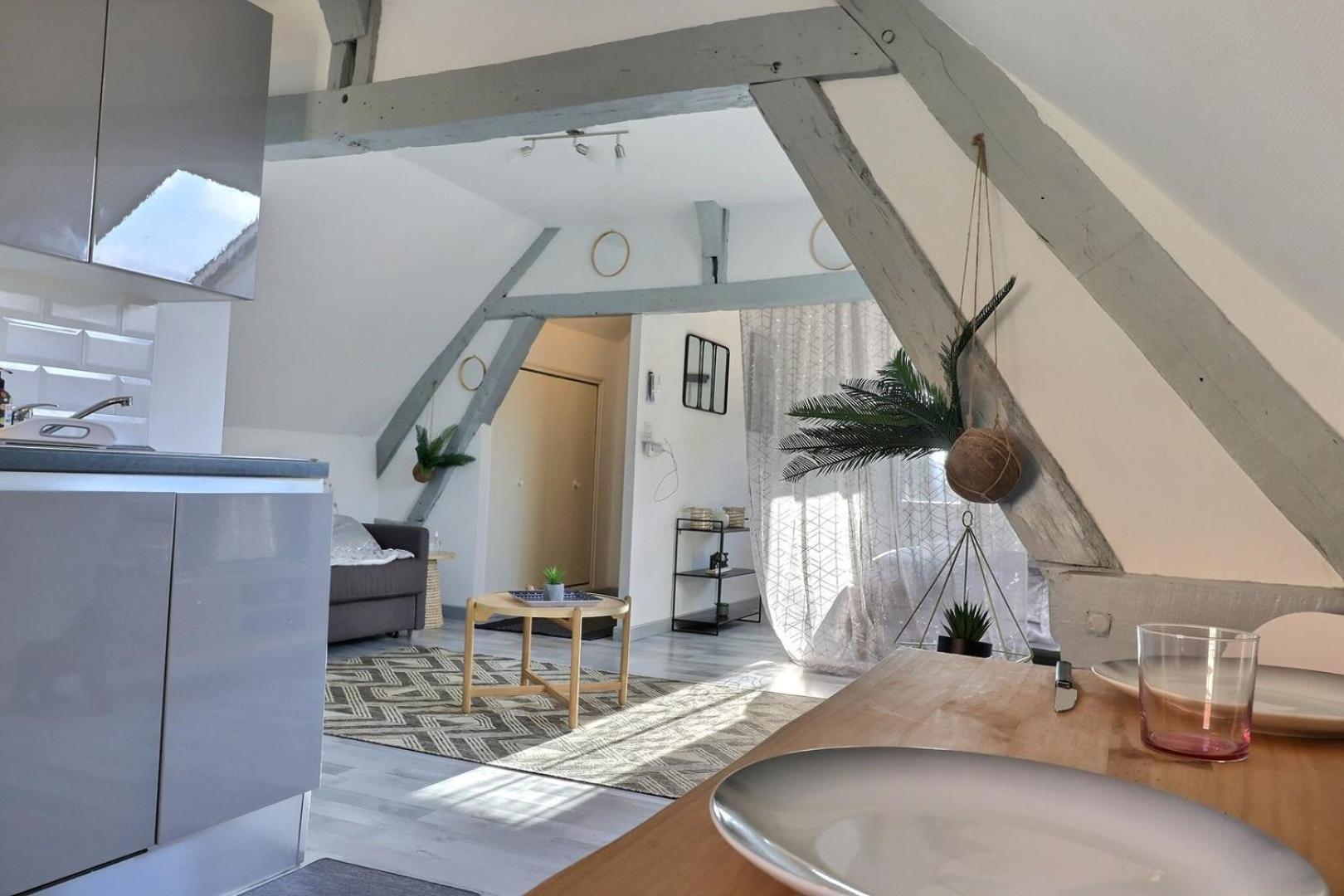 Downtown Apartment - Quiet And Cozy - Mon Groom Troyes Buitenkant foto